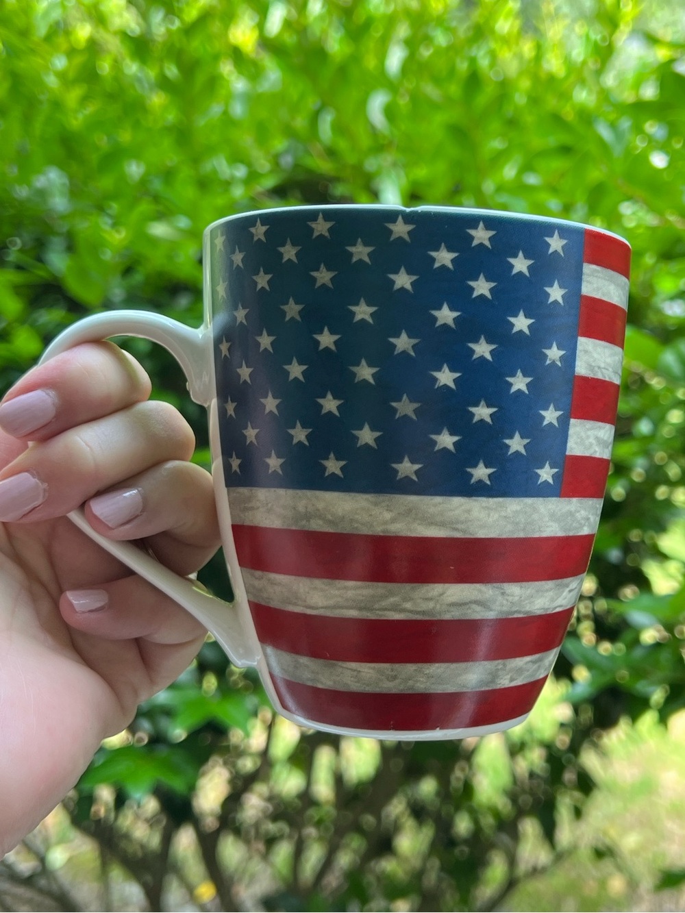 Pfaltzgraff Everyday American Flag Mug